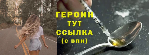 гашик Ельня