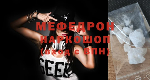 гашик Ельня