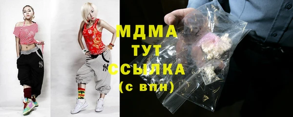 гашик Ельня