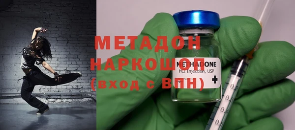 гашик Ельня