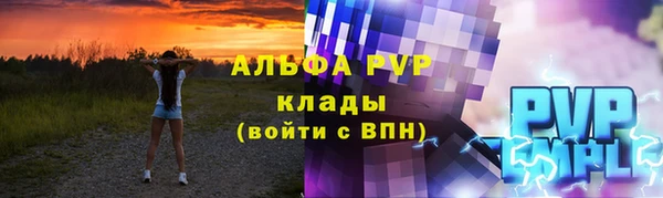 гашик Ельня