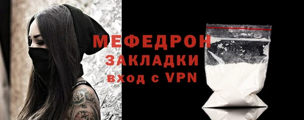 гашик Ельня