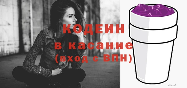 гашик Ельня