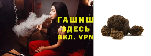 гашик Ельня