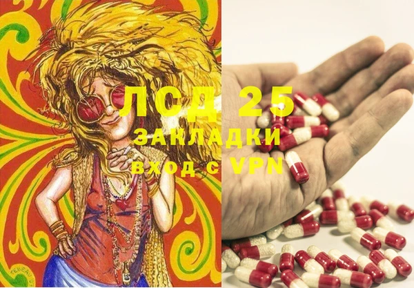 гашик Ельня