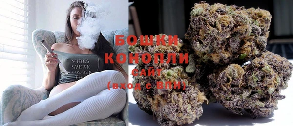 гашик Ельня