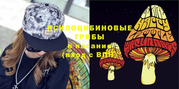 дживик Дмитровск
