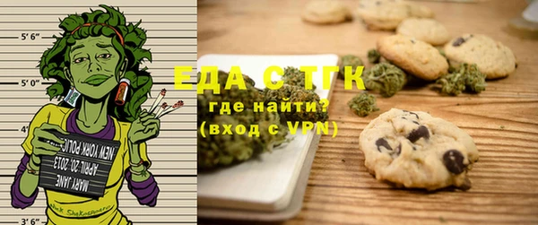 гашик Ельня