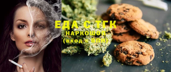 гашик Ельня