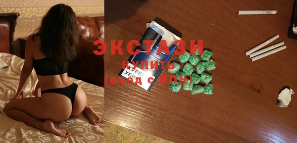 гашик Ельня