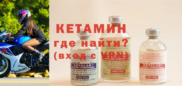 гашик Ельня