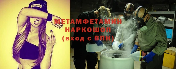 гашик Ельня