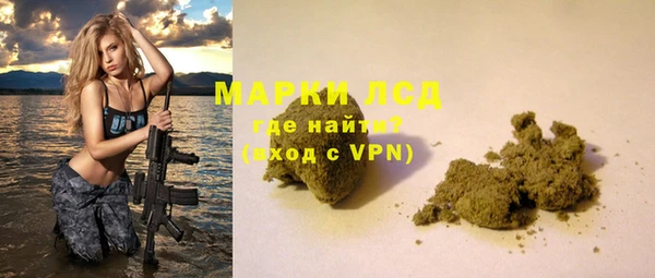 гашик Ельня