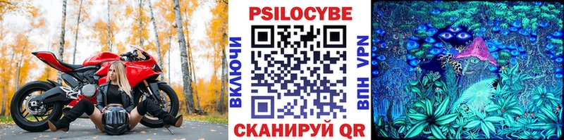 Псилоцибиновые грибы Psilocybe  мега как зайти  Иланский 